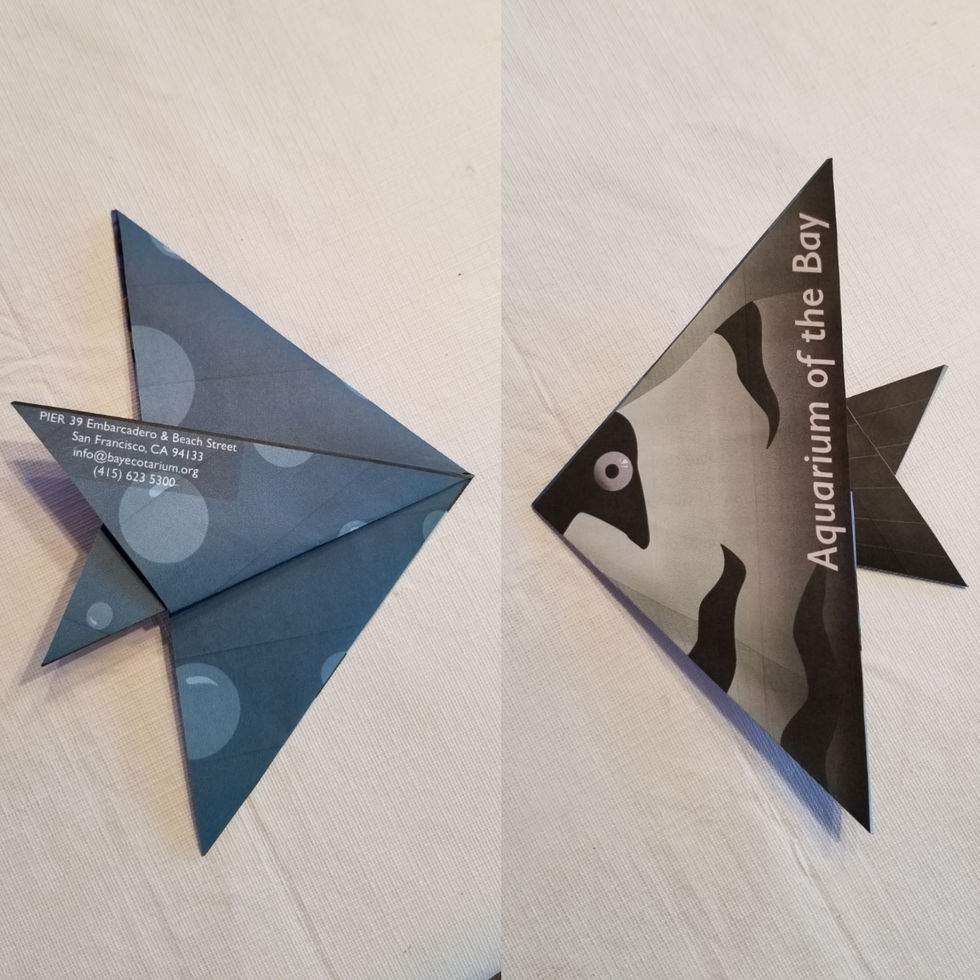 Folded Brochure