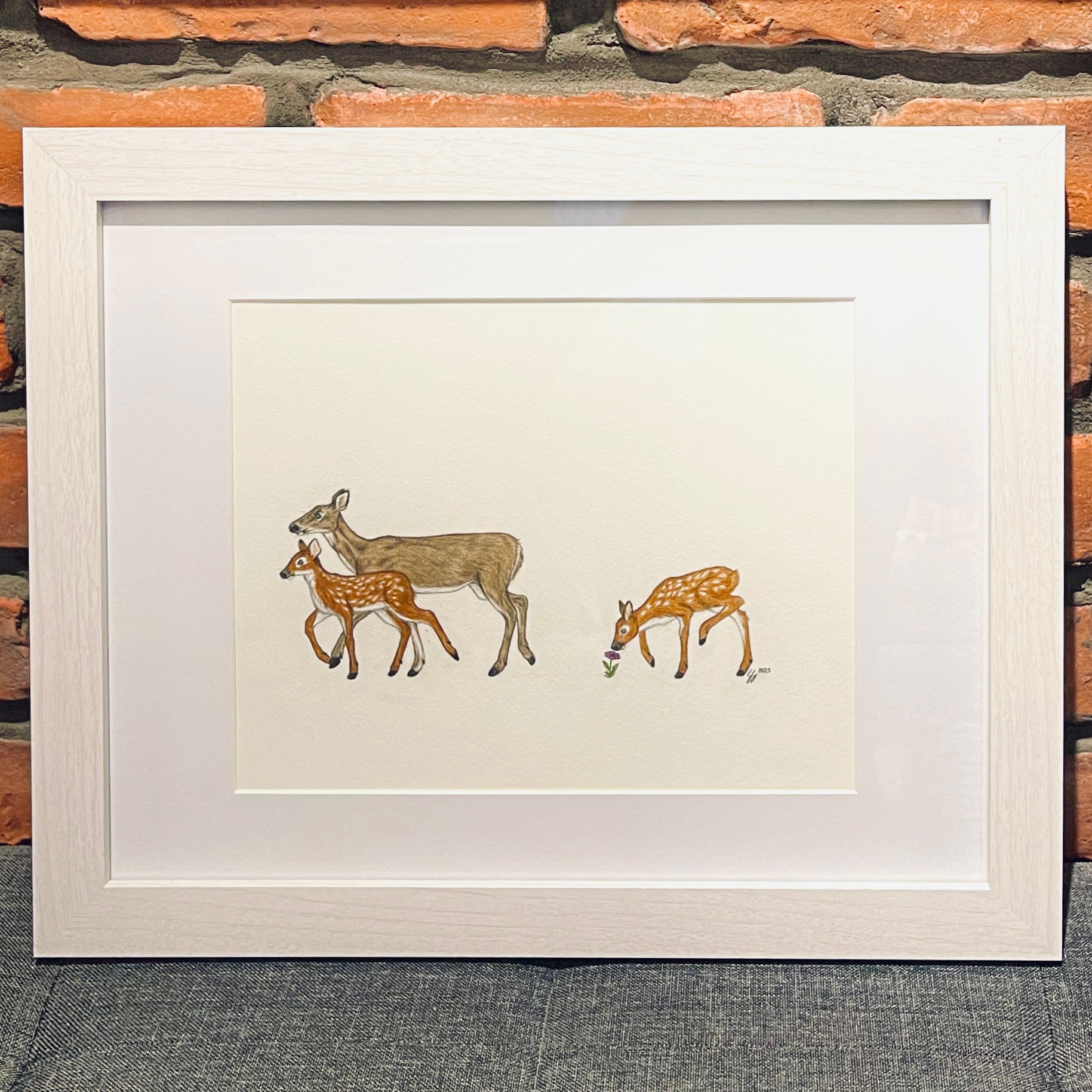 "Meet The Deer Family"