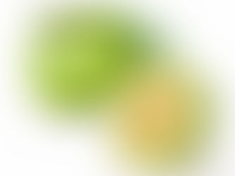 ¿Sabes cómo la Garcinia Cambogia te ayuda a Bajar de Peso?