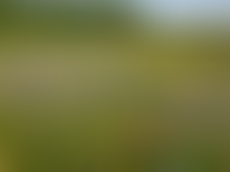 bitininkystė pradedantiesiems