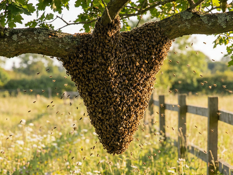 Spietimo nuotaika: kaip ją atpažinti ir išvengti spietimo?