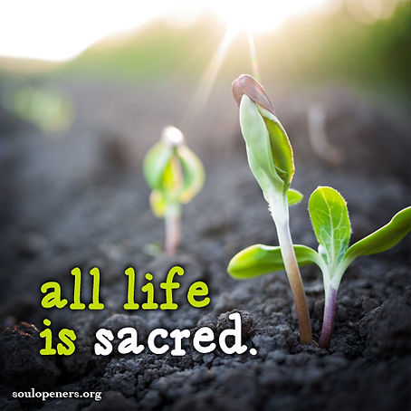 All life is sacred.