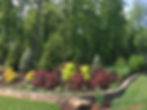 Deer Resistant Landscaping