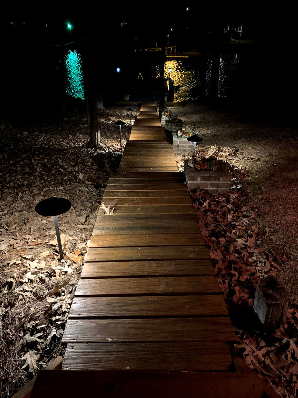 Back yard path lighting