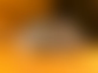 Signs of a Rodent Infestation