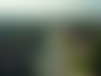 Connecticut Real Estate Market Update for Mid 2025 Trends and Insights