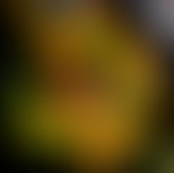 Moon Phase, Crystals & Herbs for March