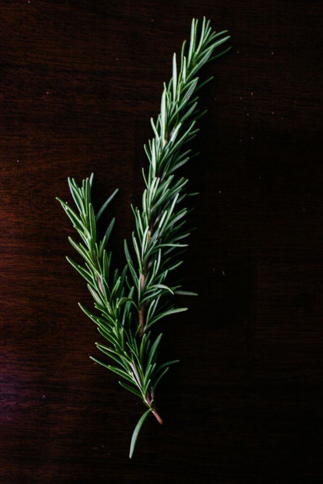 Rosemary