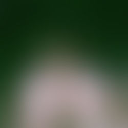 Moon Phase, Crystals & Herbs for March