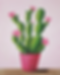 Cactus In Bloom