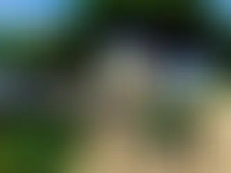 A Chance Encounter at Villa Nellcôte