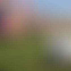 Parent Sports Conflict is an Epidemic: But What Can Be Done About It?