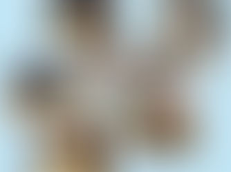 🐴あけましておめでとうございます✨