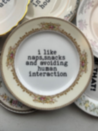 I like naps, snacks 7 inch plate 