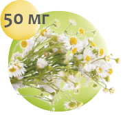 Ресурс 4_3x.png