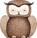 Drawing of Owl