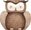 Drawing of Owl