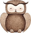 Drawing of Owl