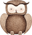 Drawing of Owl