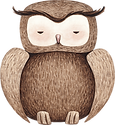 Nocturnal Animals Ballyntyne Learning Fam