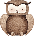 Drawing of Owl