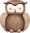 Nocturnal Animals Ballyntyne Learning Fam