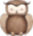 Drawing of Owl