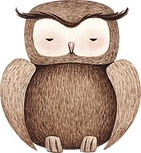 Drawing of Owl