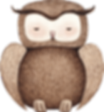 Drawing of Owl