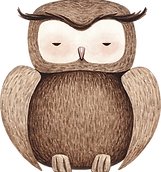 Drawing of Owl