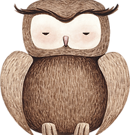 Drawing of Owl