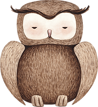 Drawing of Owl