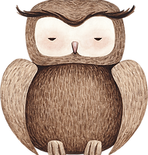 Drawing of Owl