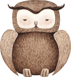 Drawing of Owl
