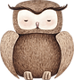 フクロウのデッサン