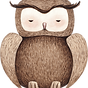 Drawing of Owl