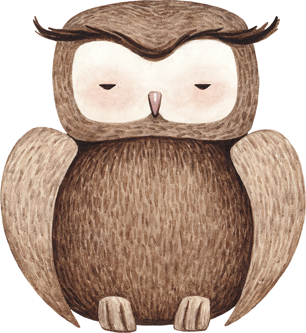 FULL; Birds Around the World; July Ages 8-12