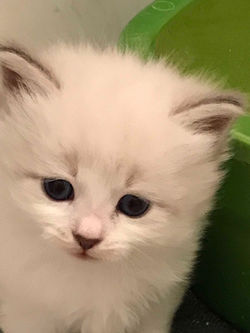 67777158_651152575384390_292665991600747