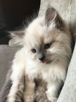 67728288_2807084009362082_55307312336186