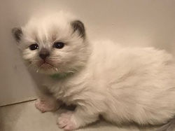 67914155_357745141587728_729014027691019