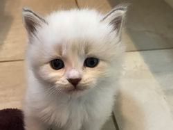 67669297_2626351057376244_14846585551422