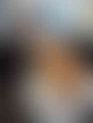 a dog on a chair in an office