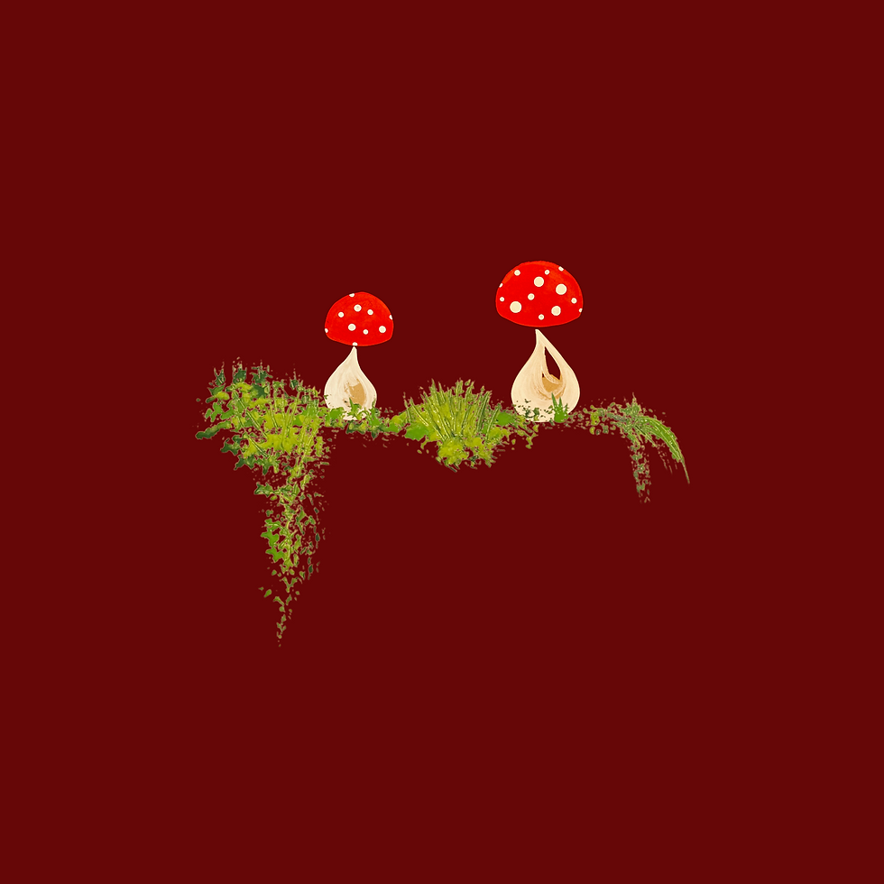 Thumbnail: Women’s Fitted Let's Wander T-shirt