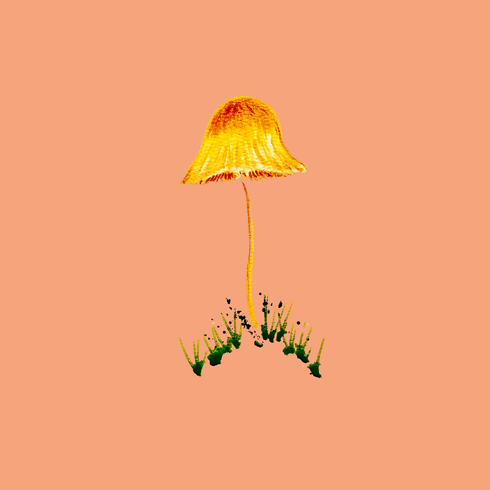 Thumbnail: Women’s V-Neck Golden Mushroom T-shirt