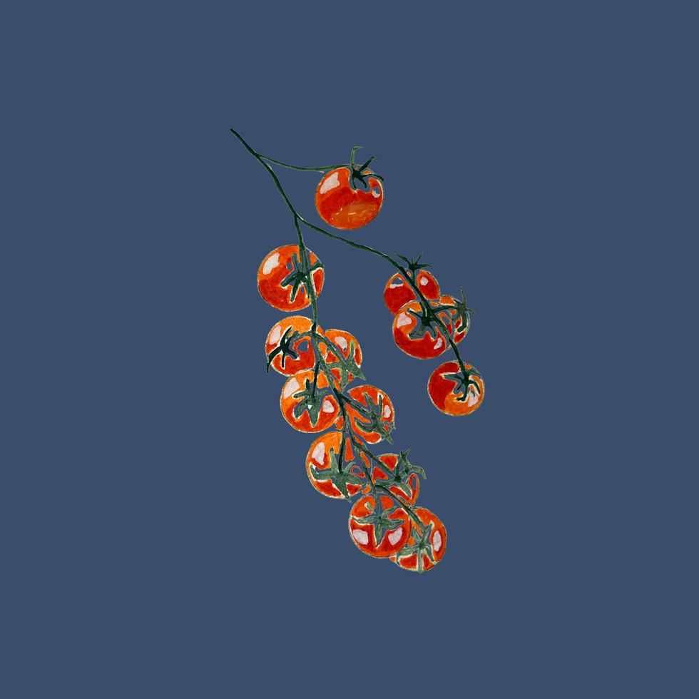 Thumbnail: Men’s Cherry Tomatoes T-shirt