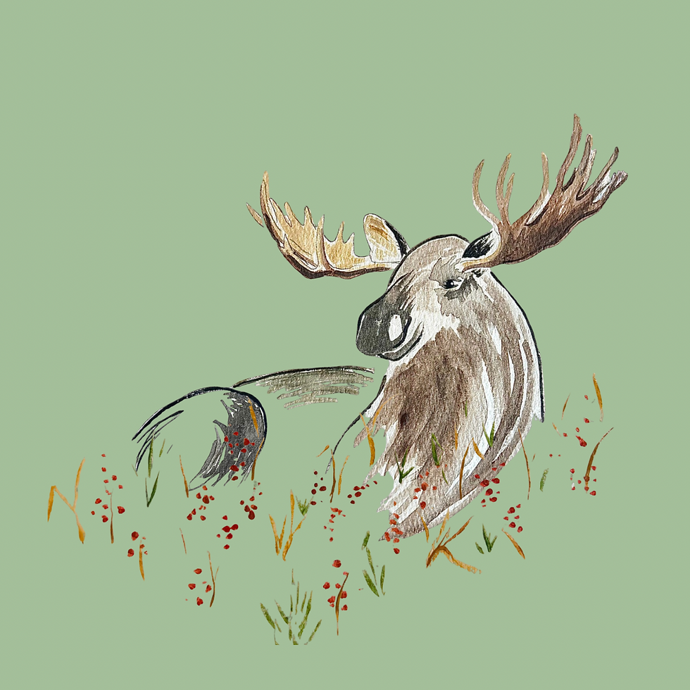 Thumbnail: Men’s Moose in the Meadow T-shirt