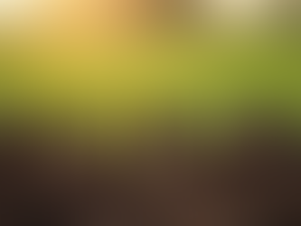 Preparing Soil for Wheat: A Complete Guide