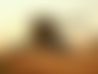 The Role of Robotics in Transforming Agriculture and Enhancing Sustainable Practices