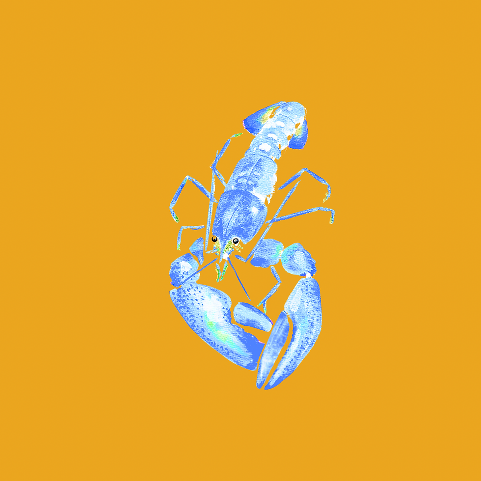 Thumbnail: Women’s V-Neck Going Lobsterin’ T-shirt