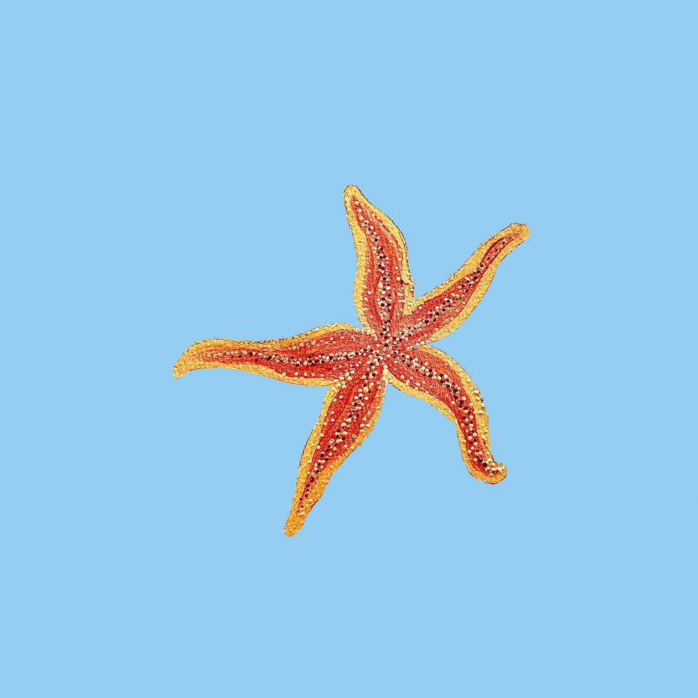 Thumbnail: Kids Cotton Canvas Starfish Hat